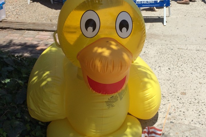 An inflatable duck.
